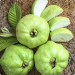 Indian Guava