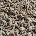 Ajwain Seeds-100gm