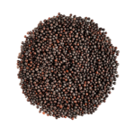 Mustard Seeds