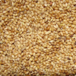Fox Tail Millets- 1kg