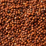 Kodo Millets 1 kg