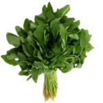 Amaranthus leaves/Thotakura- 1 bunch