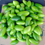 Tindora/Dondakaya 500g