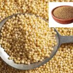 Kodo Millets 1 kg
