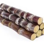 Sugar cane cuts