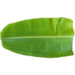 Banana Leaves (PLANTAIN leaf)