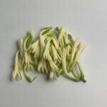 White Tube rose flowers