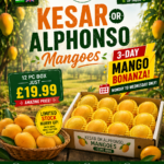 Kesar Mangos  (10-12pc)
