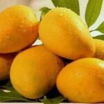 Banganapalli Mangoes above 3kg-Pre order