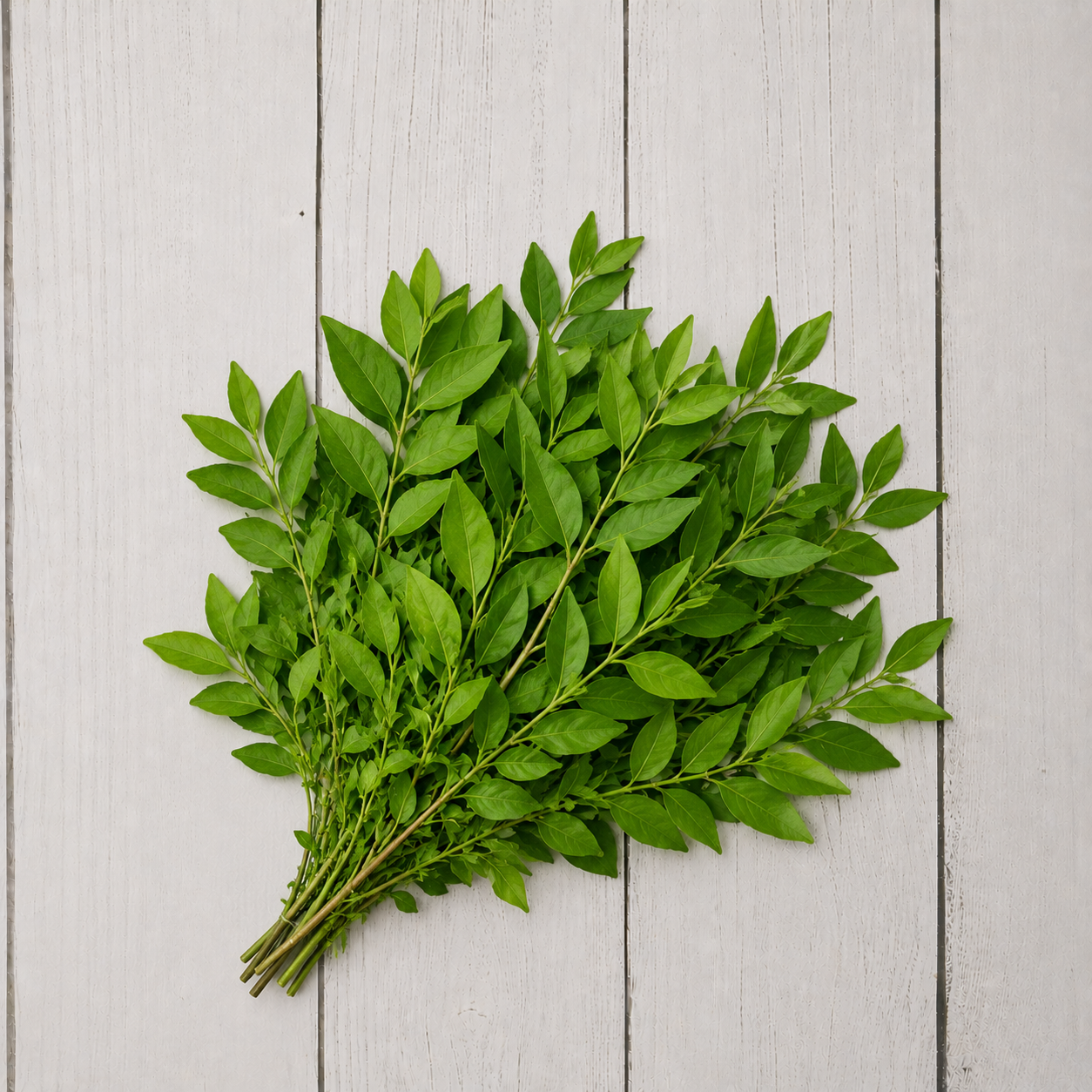 Henna leaves
